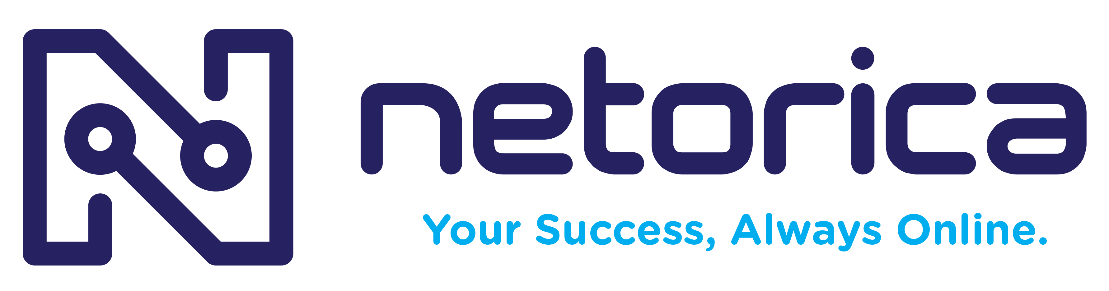 Netorica Website Hosting Services